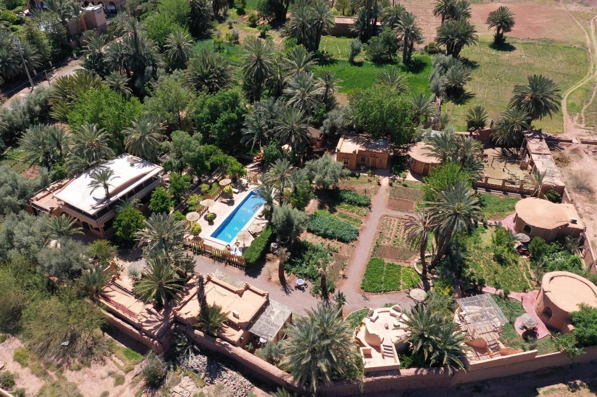 Ecolodge La Palmeraie Ouarzazate Exteriör bild