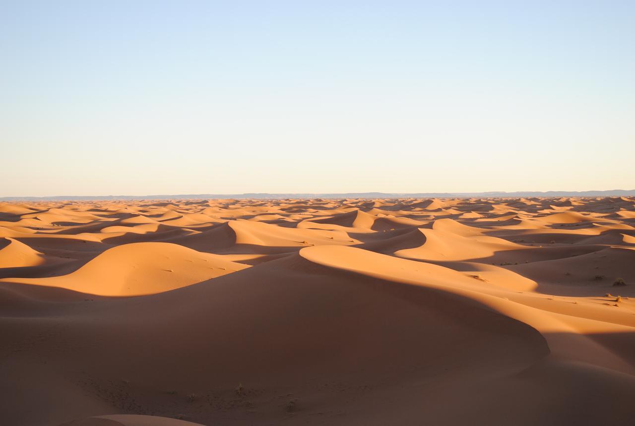 Ecolodge La Palmeraie Ouarzazate Exteriör bild